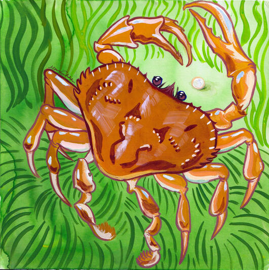 Crab Finds Treasure (personal work), watercolor and gouache - 2024